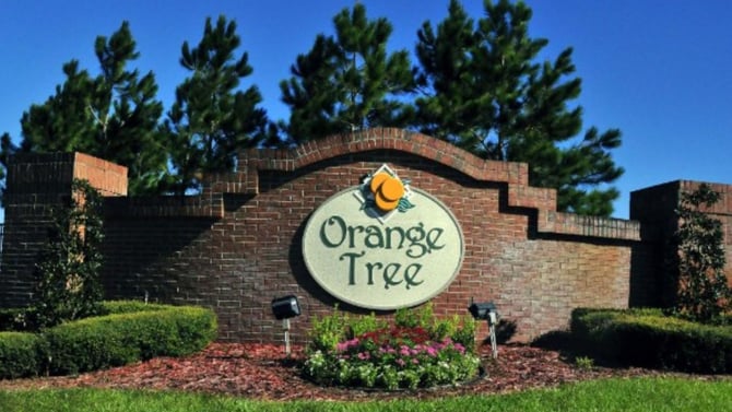 Orange Tree